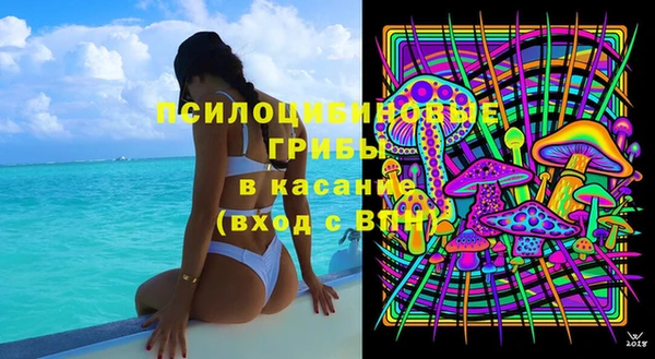 СК Каменка