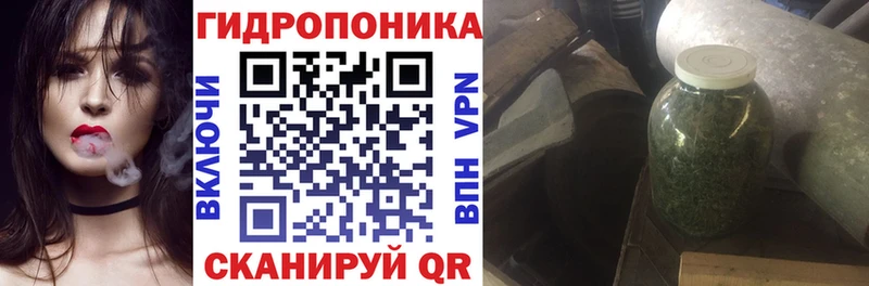 МАРИХУАНА White Widow  Купить закладки  Зерноград 
